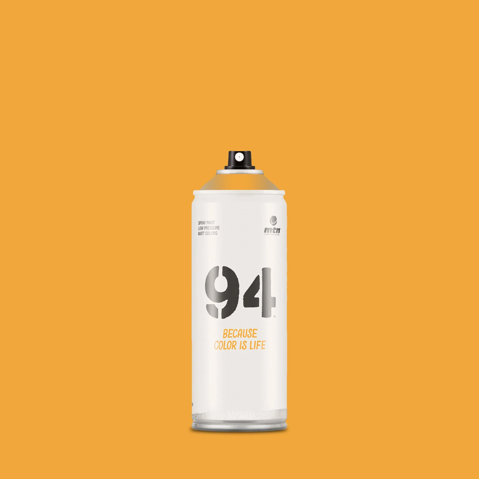 Thumbnail 31